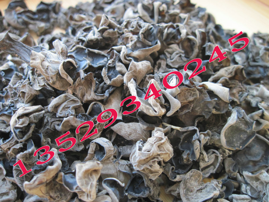 农户直销野生云南木耳