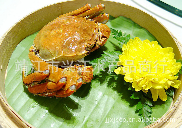 兴江水产 螃蟹批发 全国供应 质量保证 价格优惠 欢迎订购