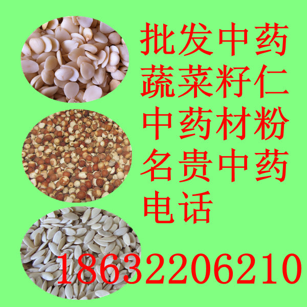 供应中药材 中药饮片 中草药 茵陈
