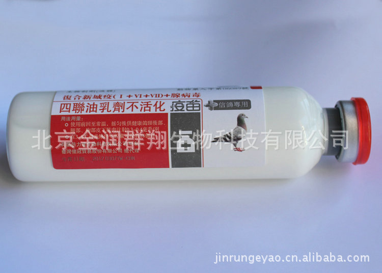 赛鸽信鸽用兽药批发 腺病毒+新城疫苗 预防腺病毒感染