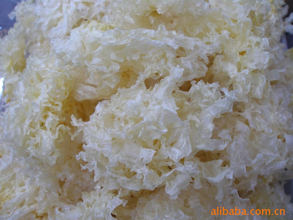 特级银耳，白木耳，雪耳，椴木银耳，无根，一烧即糯
