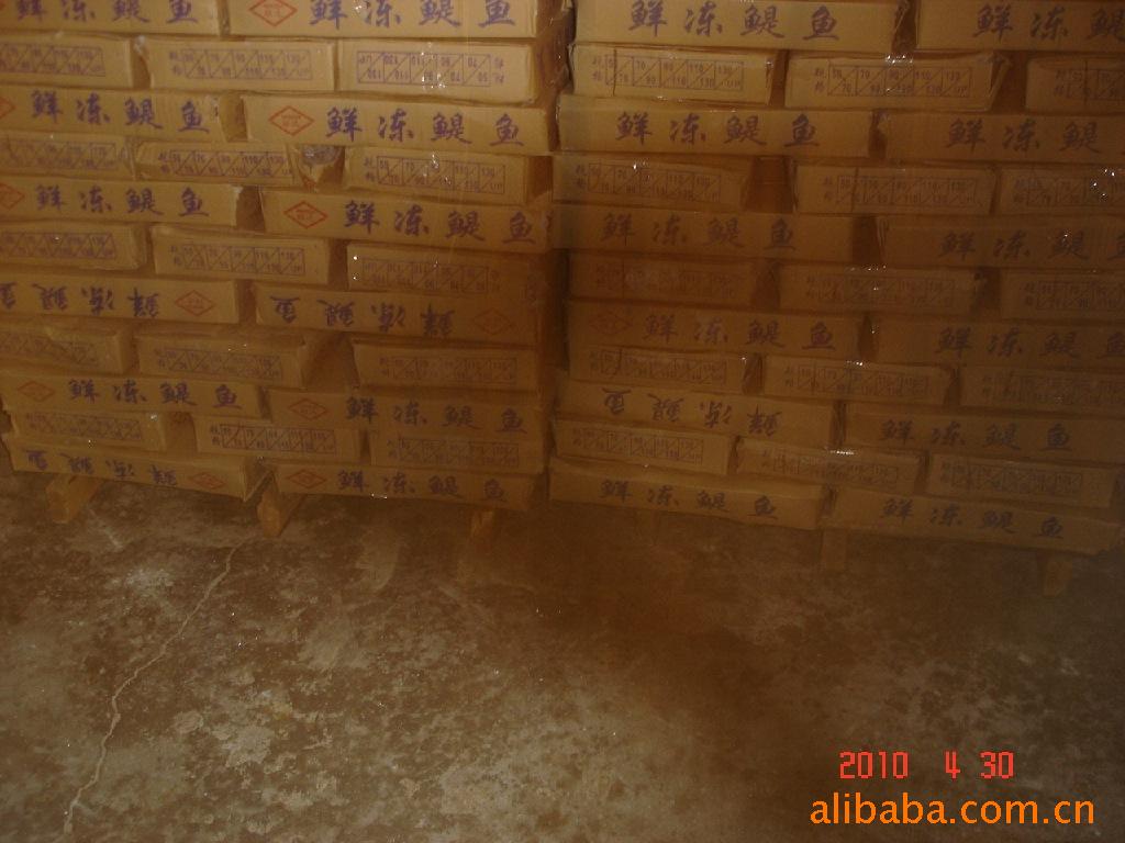 冷冻水产 水产 鲜货