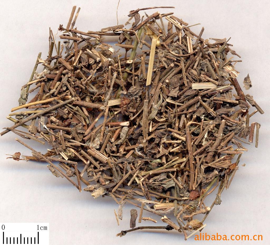 优质供应中药材 中药饮片 中草药  刘寄奴