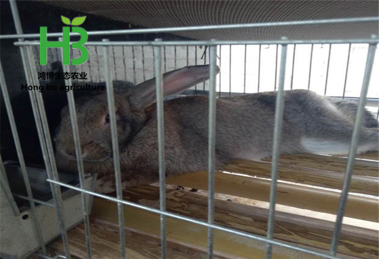 TB2c7uOdf9TBuNjy1zbXXXpepXa_!!