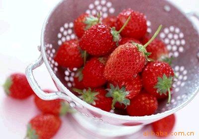 供应青岛果品加工-草莓 质量第一优质价廉