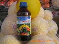 大棚基肥专用发酵剂 大棚发酵剂  国家专利产品 金宝贝