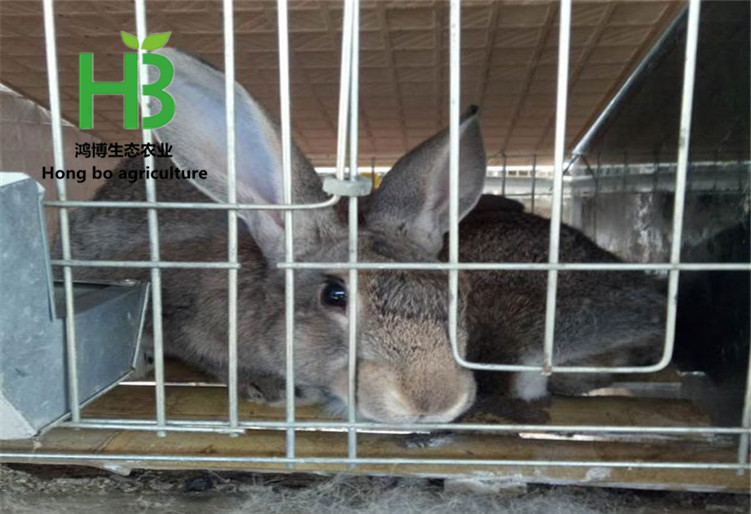 TB2w7uFdk9WBuNjSspeXXaz5VXa_!!