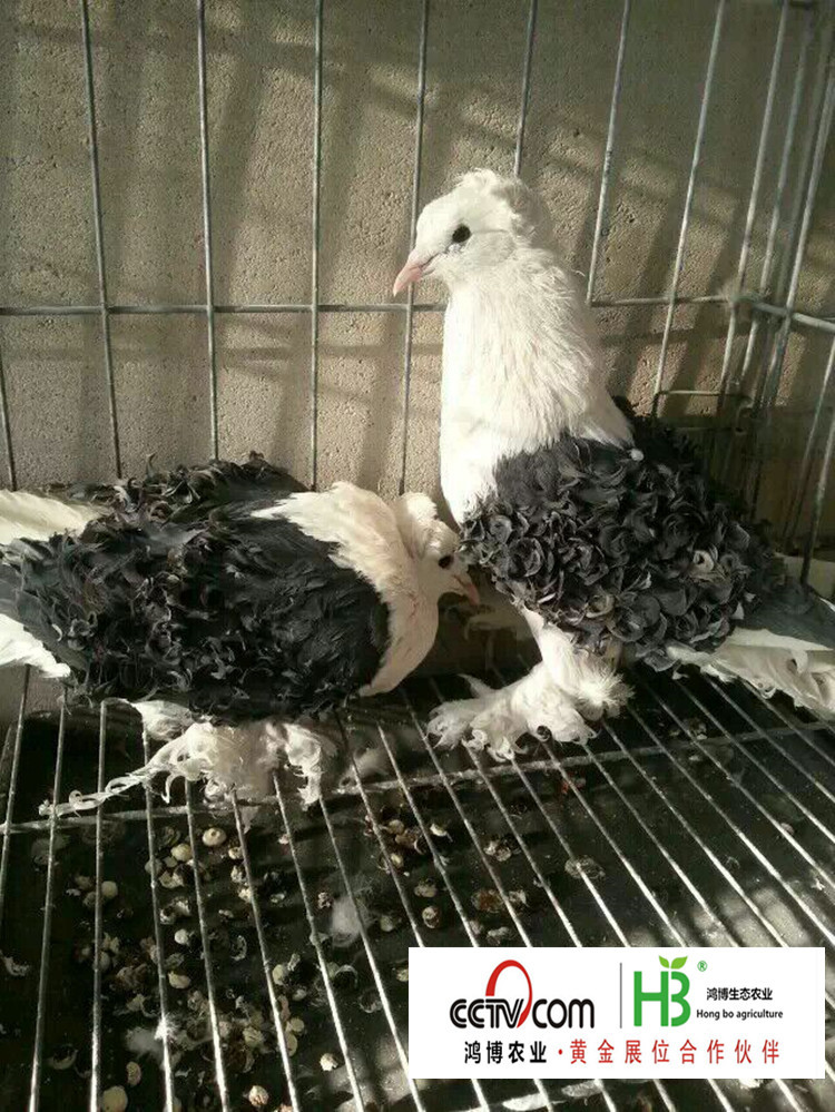 20160511173hh017271001_副本