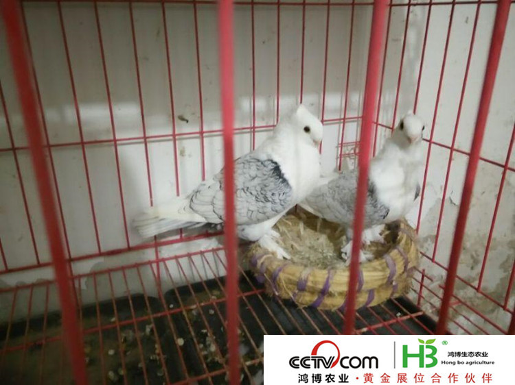 20151262344366_副本