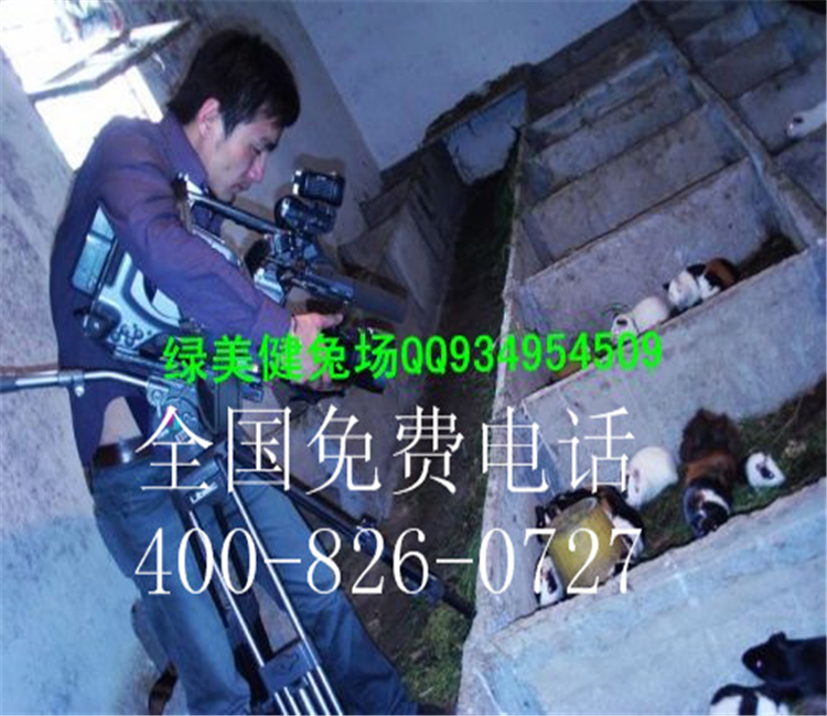 农村特种养殖项目