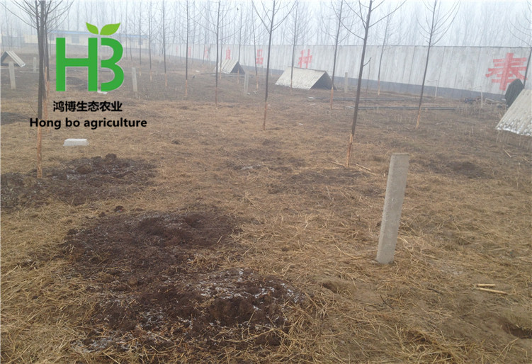 2016-01-06 124605.jpg