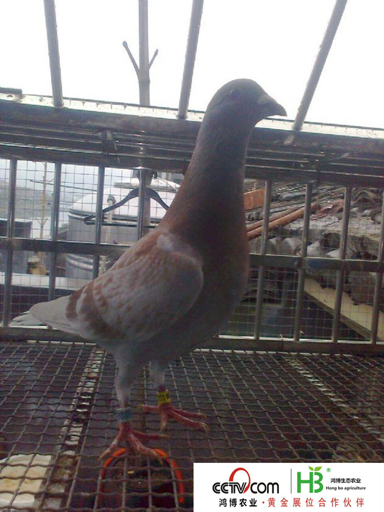 20125191344083_副本