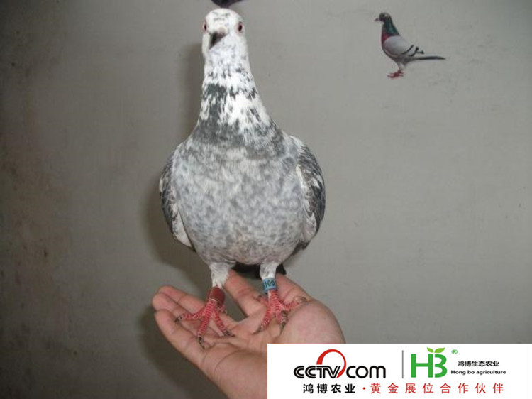 2010619123651_副本