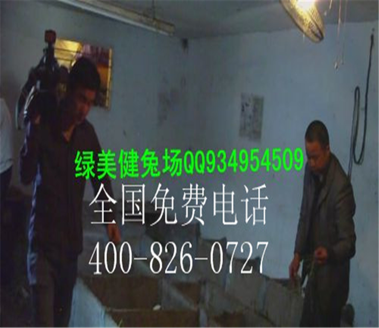 农村特种养殖项目