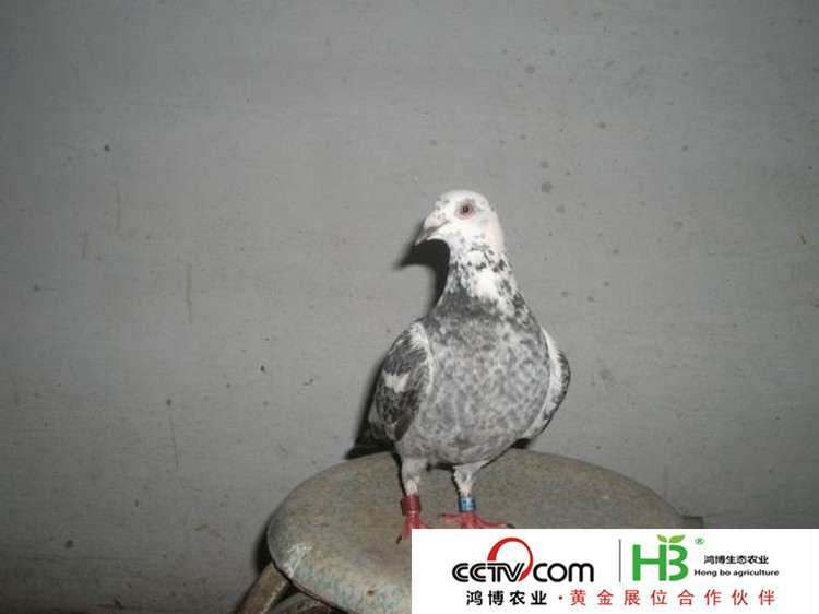 2010621212909_副本