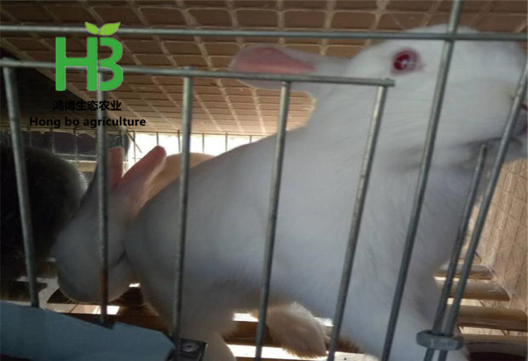 TB2XmUkdmtYBeNjSspkXXbU8VXa_!!