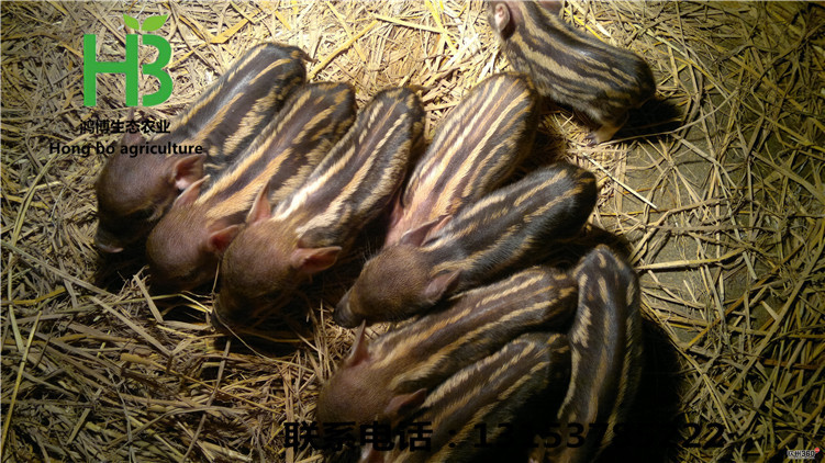 145922eddzqhl0fhzknd8i