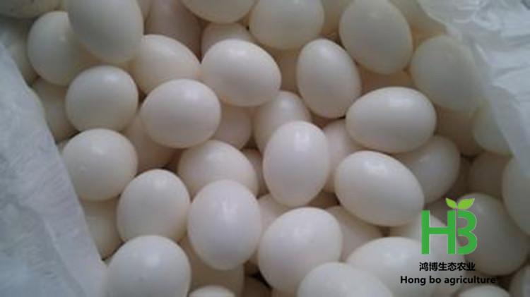 u=2808933778,764360617&fm=