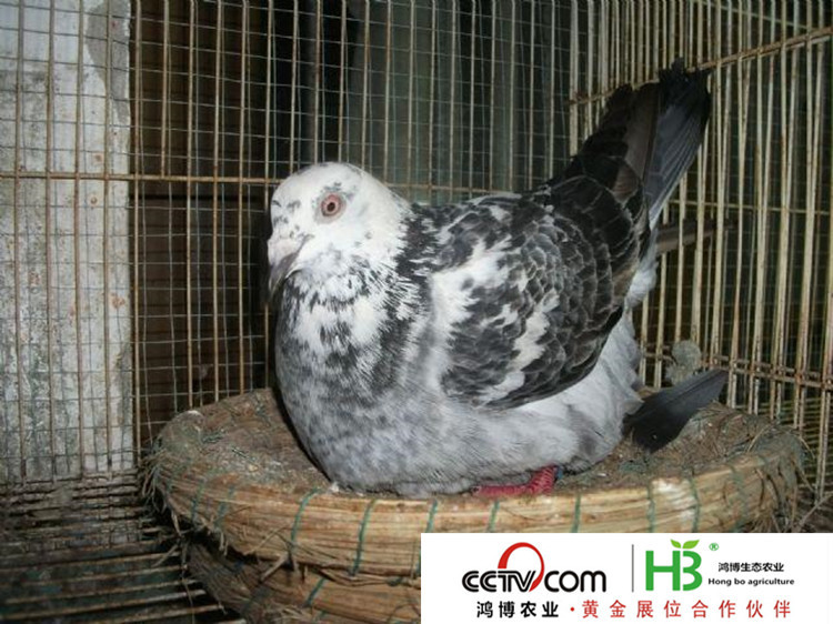 2010621215736_副本