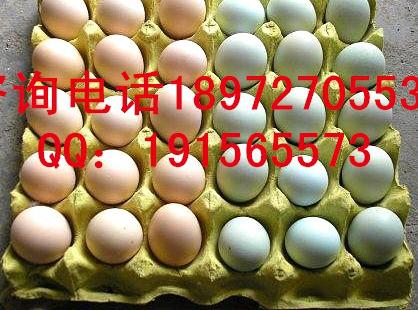 绿壳鸡蛋