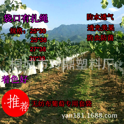 7.9无纺布葡萄套袋(1)