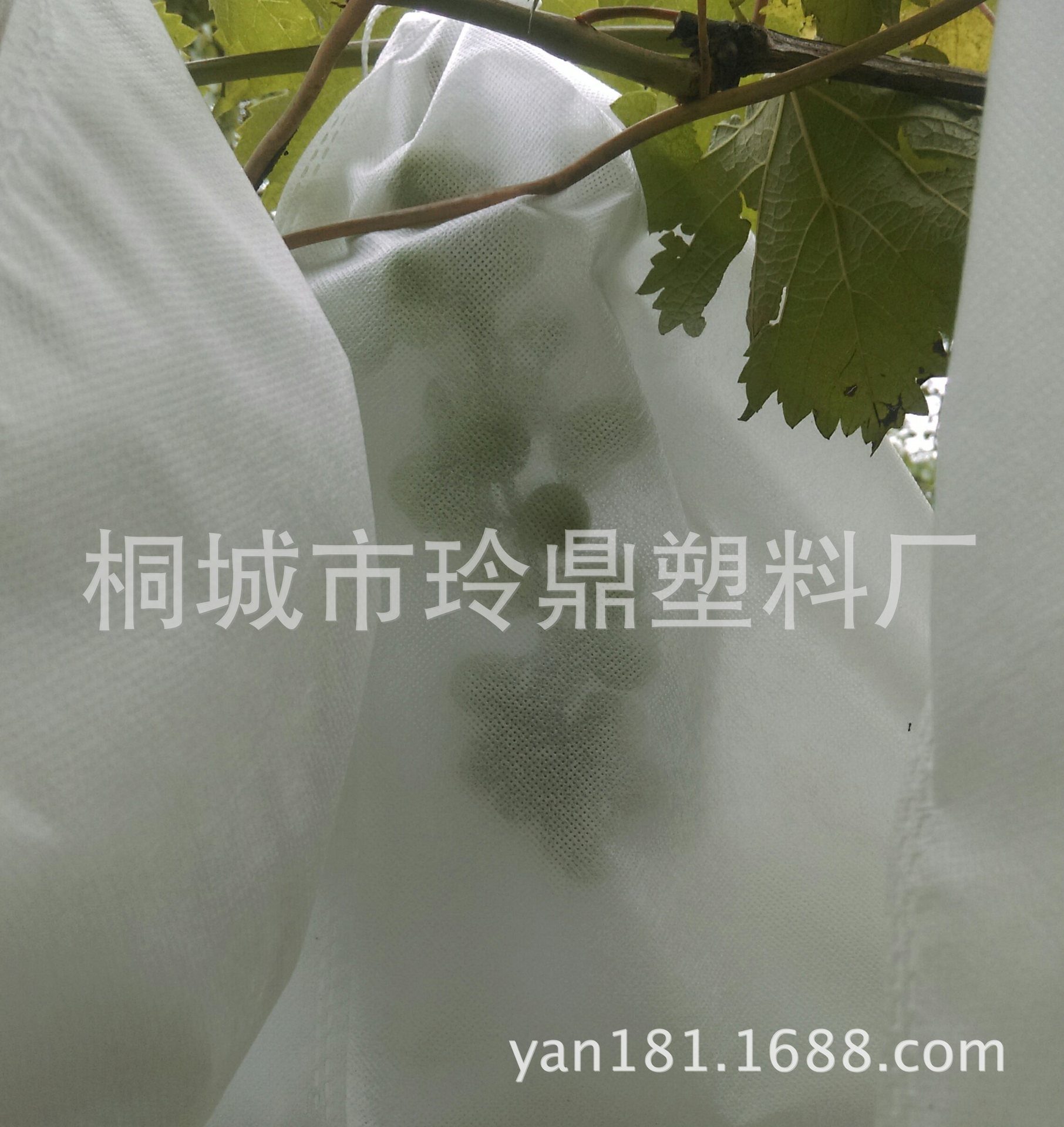 无纺布葡萄套袋