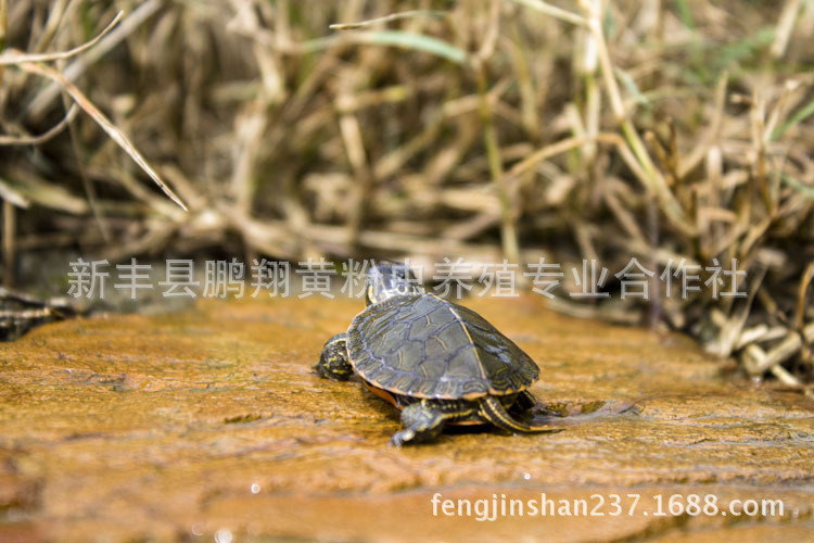 1567507133_1464446629