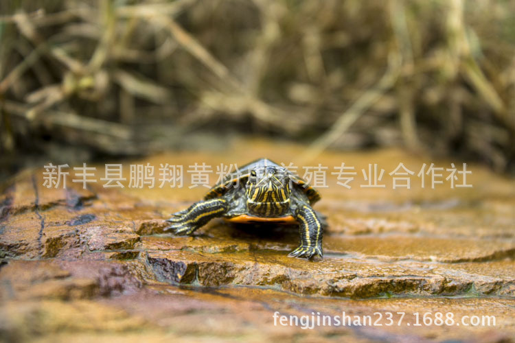 1567507140_1464446629