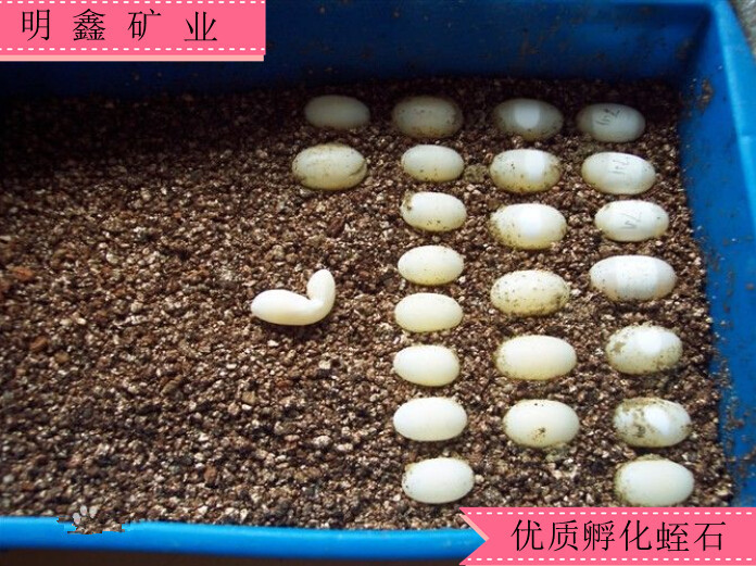 1@O8UM`6)O}`DQE)VD0CPX9_副本