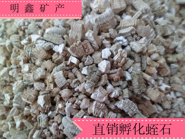 SAM_2929_副本_副本4