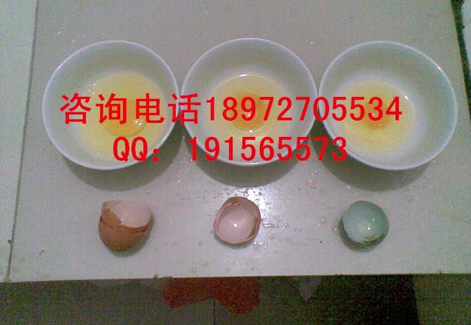 绿壳鸡蛋