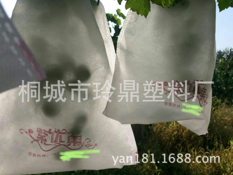 无纺布防鸟葡萄套袋