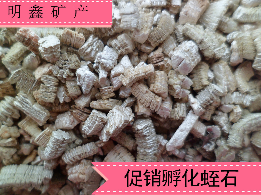 SAM_2931_副本_副本1