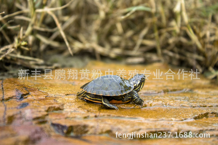 1567507143_1464446629