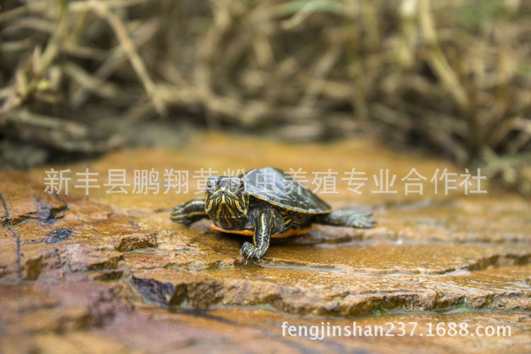 1567507142_1464446629