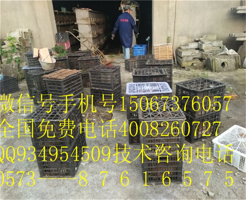 汉中洋养殖肉兔养殖基地现场考察