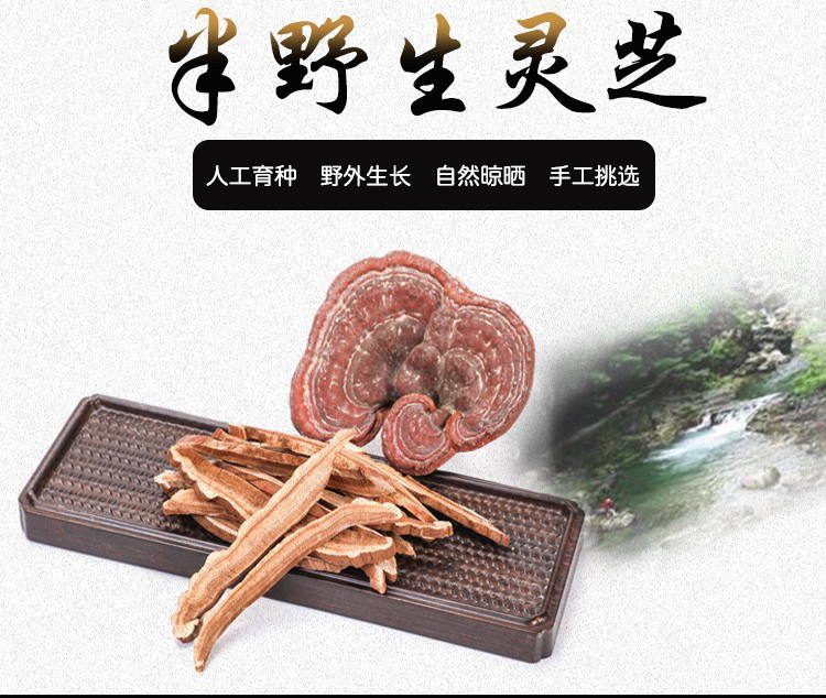 前后吃灵芝正宗长白山灵芝灵芝泡水要度