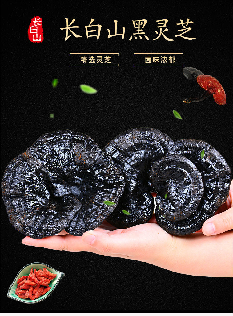 东北特产灵芝吉林长白山灵芝灵芝灵芝