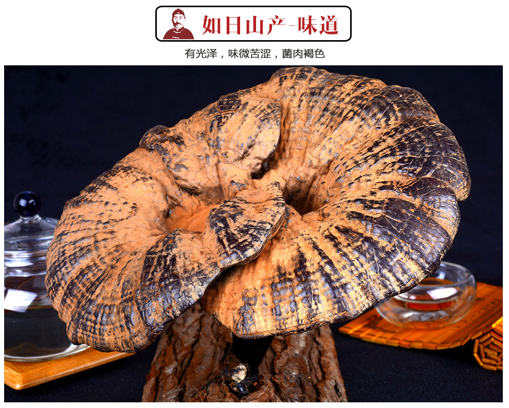 灵芝吃几次见效长白山灵芝生产供应商长期服用灵芝