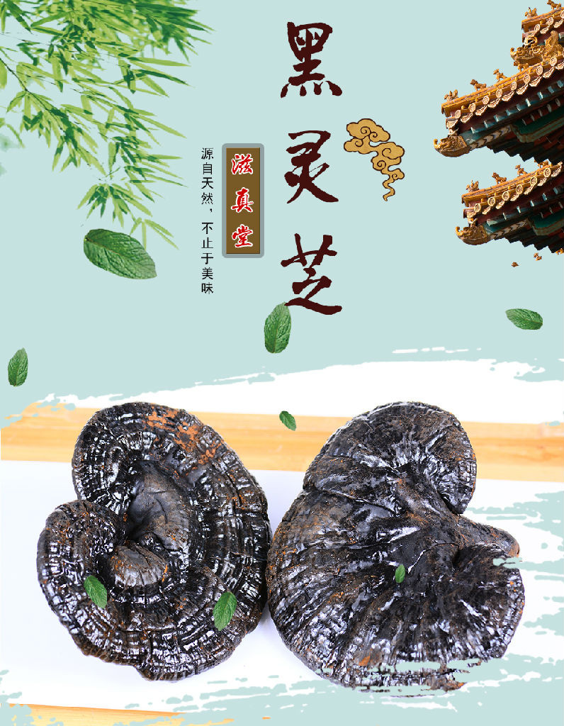 吃灵芝用量**长白山灵芝的**灵芝么法