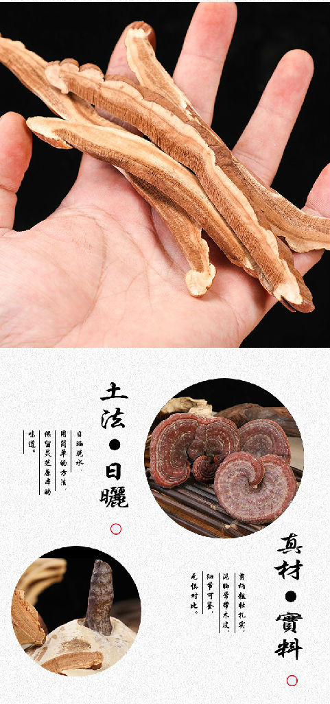 前后吃灵芝长白山灵芝服用灵芝后身体