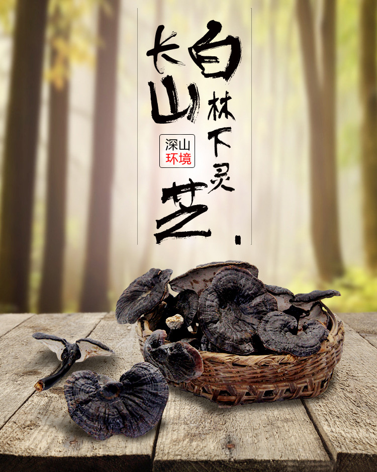 长白山灵芝功效**长白山灵芝的灵芝家好