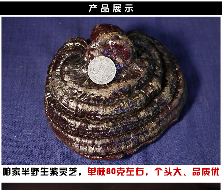 灵芝吃几次见效长白山灵芝生产供应商长期服用灵芝