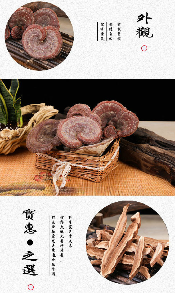 青少年能吃灵芝吉林长白山灵芝批发富晒灵芝