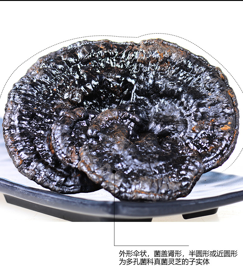 灵芝泡水灵芝长白山灵芝价格灵芝与作用价格