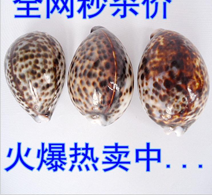 QQ图片20150806194748