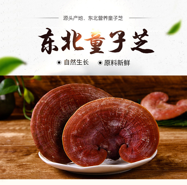 灵芝吃几次见效长白山灵芝 **灵芝的功用
