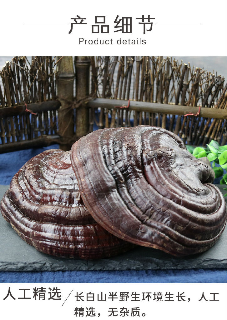 前后吃灵芝正宗长白山灵芝灵芝泡水要度