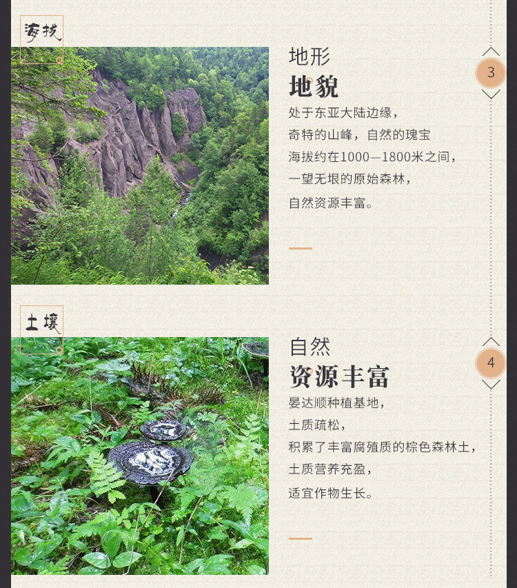 灵芝买个品好长白山灵芝片好的灵芝品