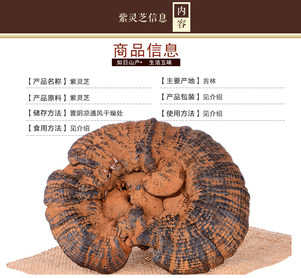 备孕能吃灵芝长白山灵芝 散装灵芝么食用方法